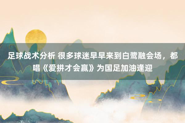 足球战术分析 很多球迷早早来到白鹭融会场，都唱《爱拼才会赢》为国足加油逢迎