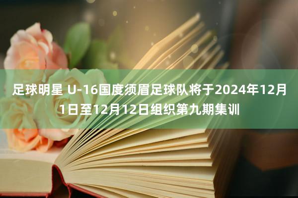 足球明星 U-16国度须眉足球队将于2024年12月1日至12月12日组织第九期集训