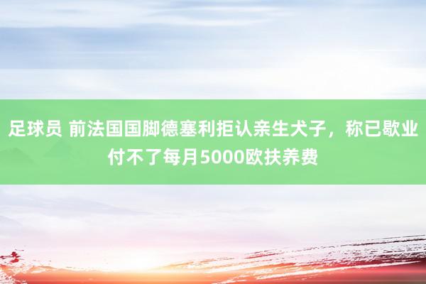 足球员 前法国国脚德塞利拒认亲生犬子，称已歇业付不了每月5000欧扶养费