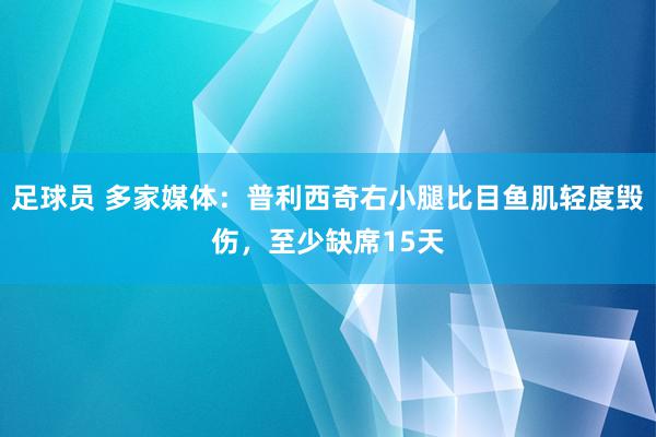 足球员 多家媒体：普利西奇右小腿比目鱼肌轻度毁伤，至少缺席15天