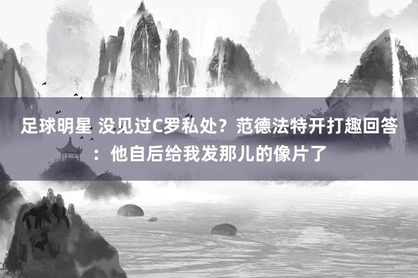 足球明星 没见过C罗私处？范德法特开打趣回答：他自后给我发那儿的像片了