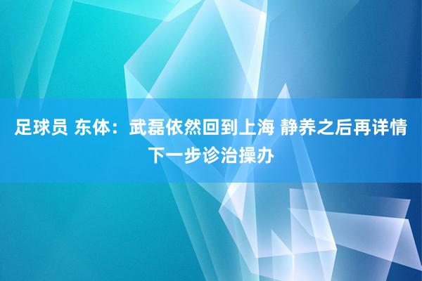 足球员 东体：武磊依然回到上海 静养之后再详情下一步诊治操办