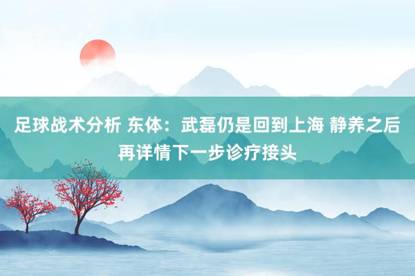 足球战术分析 东体：武磊仍是回到上海 静养之后再详情下一步诊疗接头