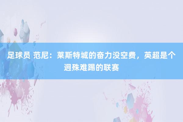 足球员 范尼：莱斯特城的奋力没空费，英超是个迥殊难踢的联赛