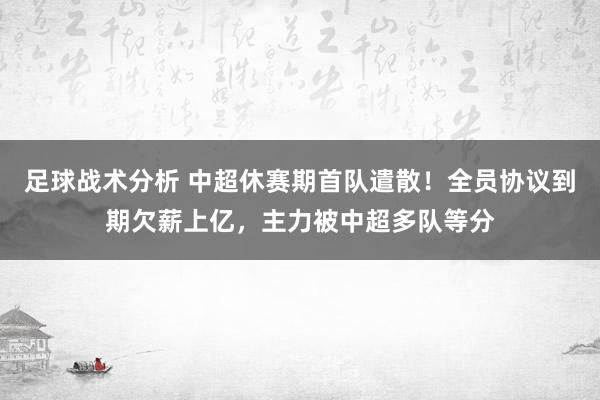 足球战术分析 中超休赛期首队遣散！全员协议到期欠薪上亿，主力被中超多队等分