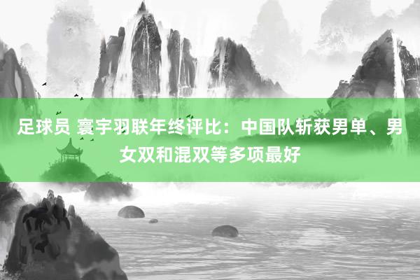 足球员 寰宇羽联年终评比：中国队斩获男单、男女双和混双等多项最好